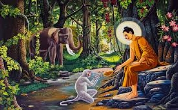 Ta là chủ quyết định cuộc đời mình